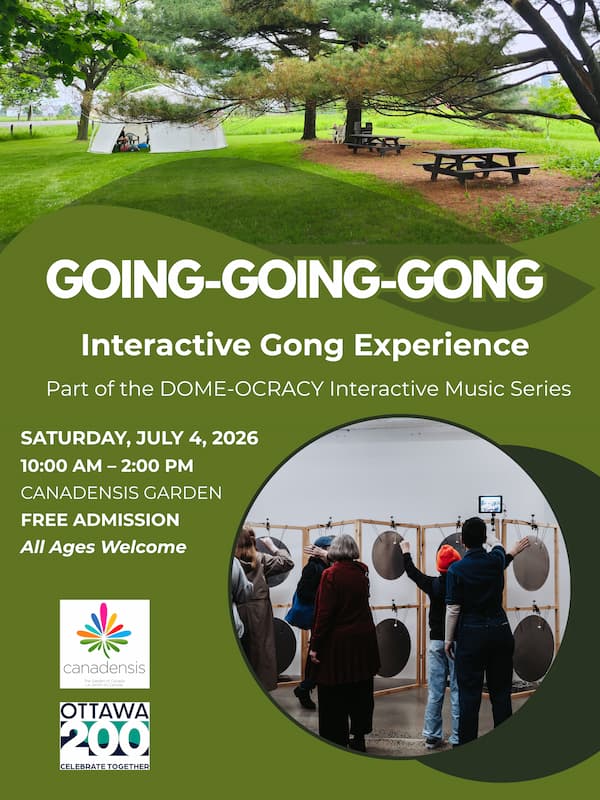 ⭕ GOING-GOING-GONG ⭕