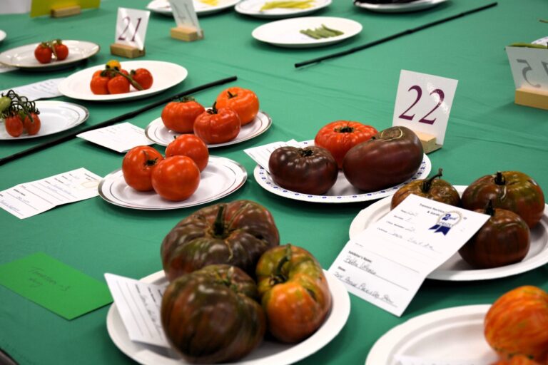 TRENTON HORTICULTURAL SOCIETY AUGUST MEETING – FLOWER & VEGETABLE SHOW