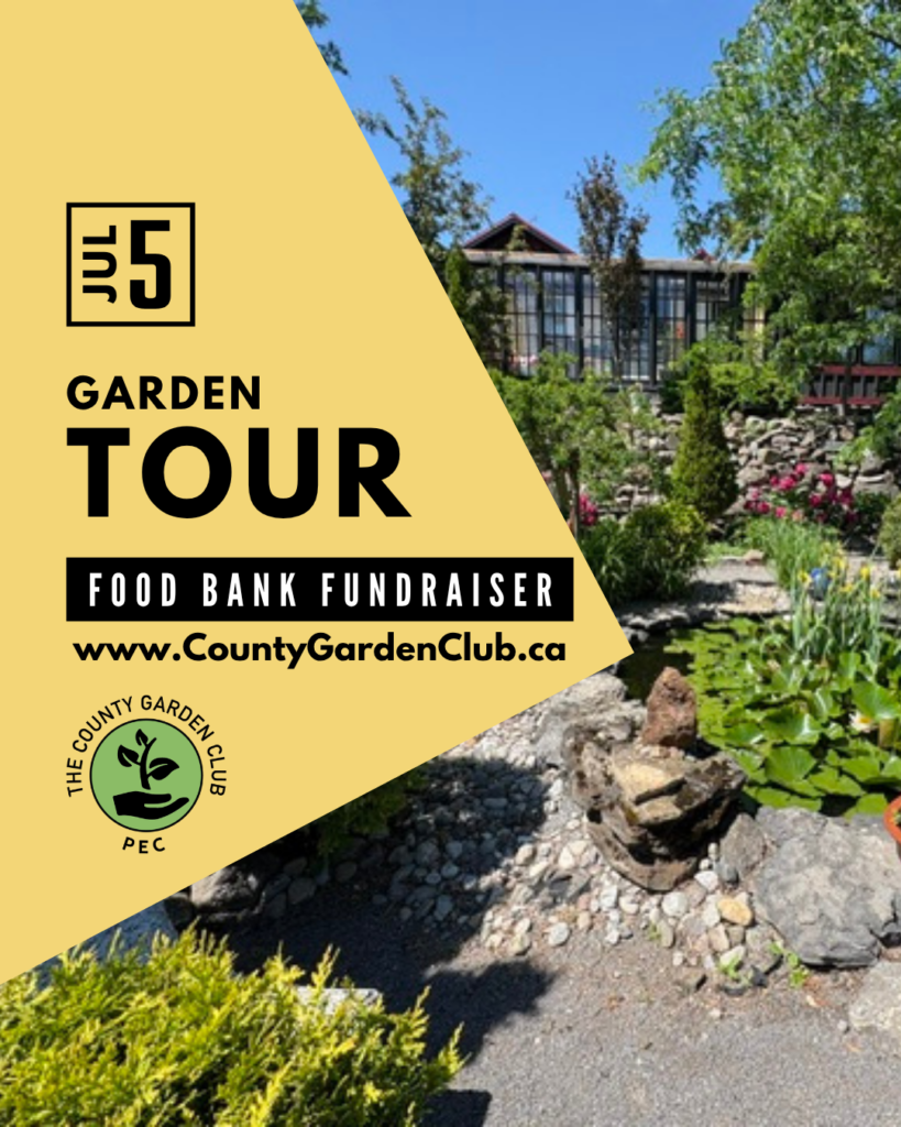 Discover Wellington and its Gardens