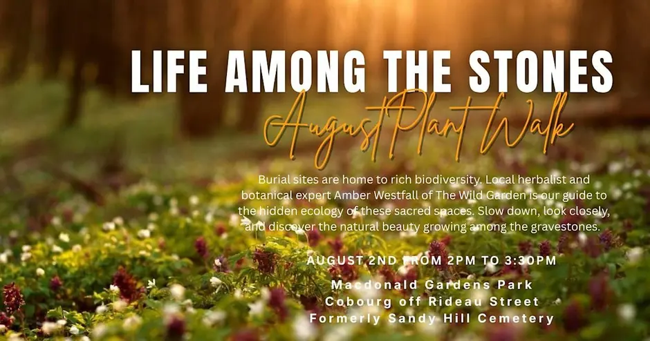 Life Among the Stones – Aug 2nd – Guided cemetery plant walk