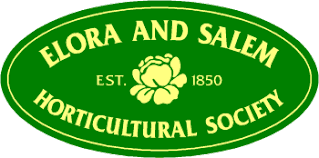 Elora & Salem Members Plant Swap Event