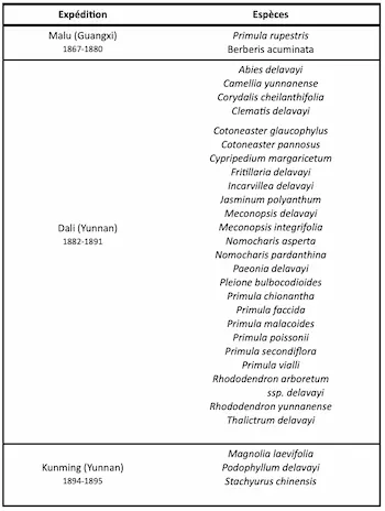Table of plant species by Chinese expeditions