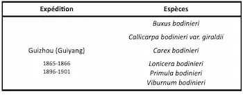 Table listing Bodinier species from Guizhou expeditions