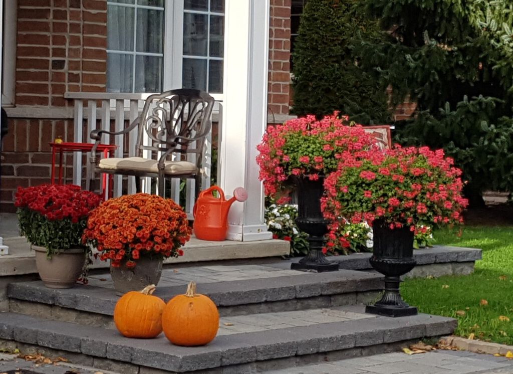 You Are Not Done Yet – Fall Gardening and Putting Your Garden to Bed