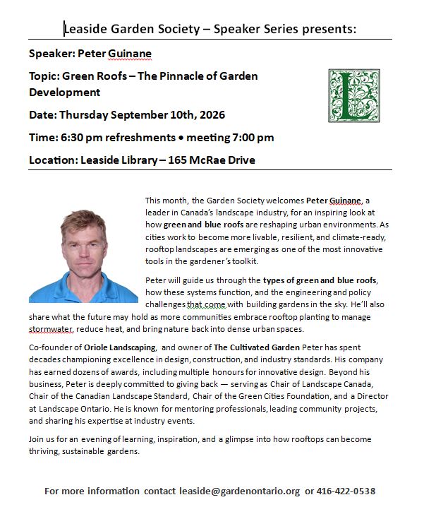 Green Roofs: The Pinnacle of Garden Development