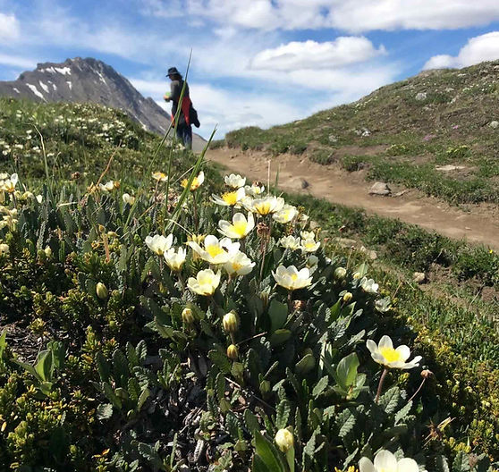 4 Mountain Passes
