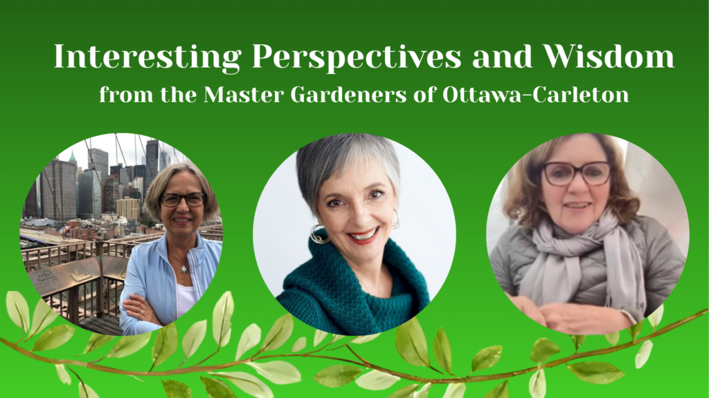 Interesting Perspectives & Wisdom From The Master Gardeners of Ottawa-Carleton: In-Person