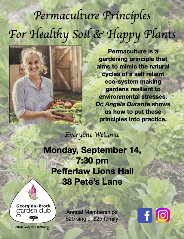 Permaculture Principles for Healthy Soil and Happy Plants