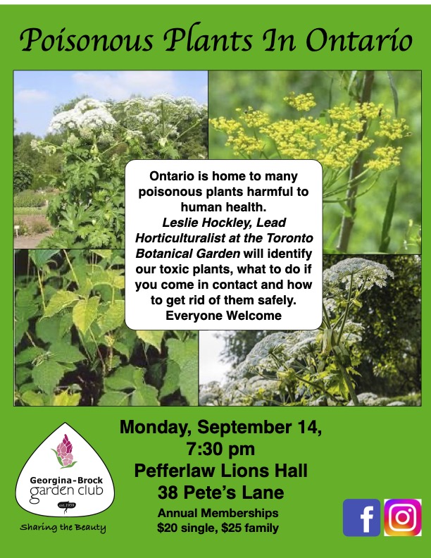 Poisonous Plants in Ontario