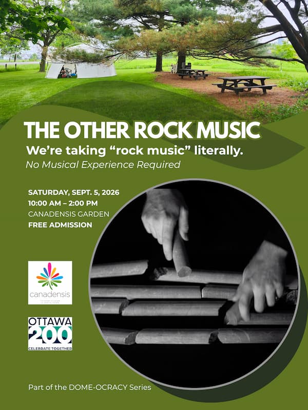 🪨🎶 THE OTHER ROCK MUSIC