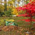 West Carleton Garden Club & Horticultural Society: October Meeting and Annual Seed Swap