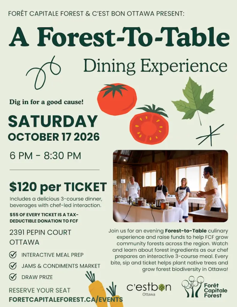 A Forest to Table Dining Experience