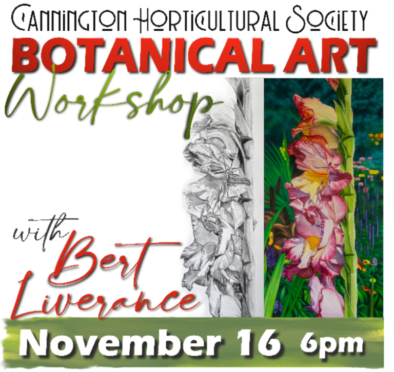 CHS November Workshop: Botanical Art with Bert Liverance