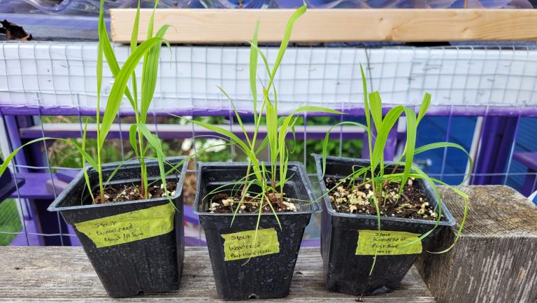 Spring gently into gardening