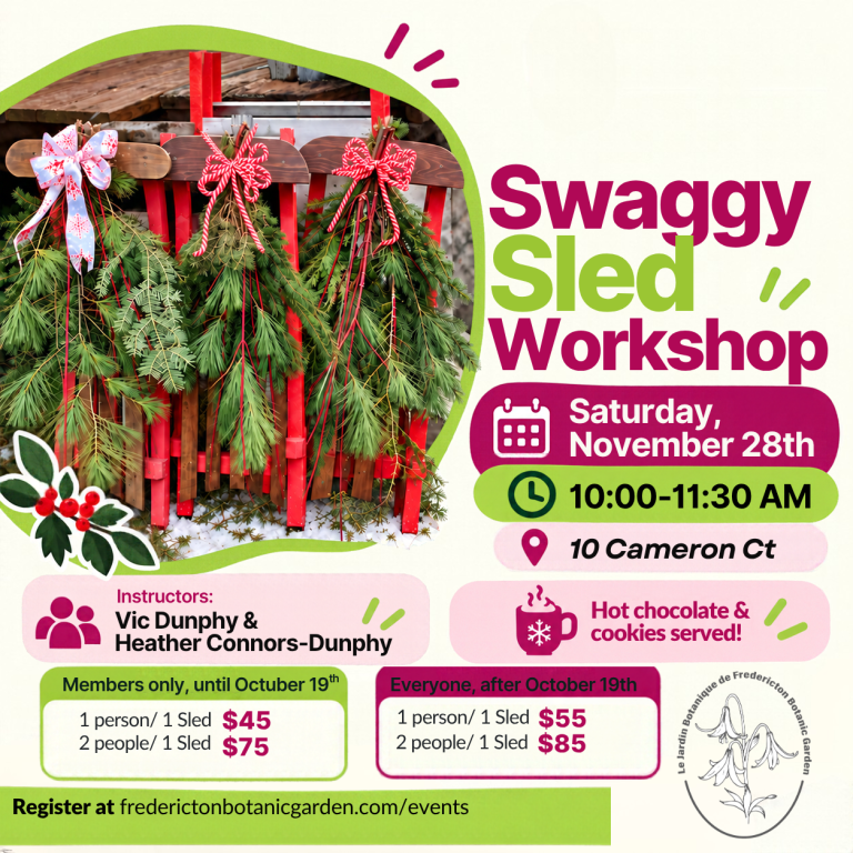 Swaggy Sled Workshop