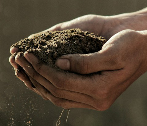 The Art of Composting